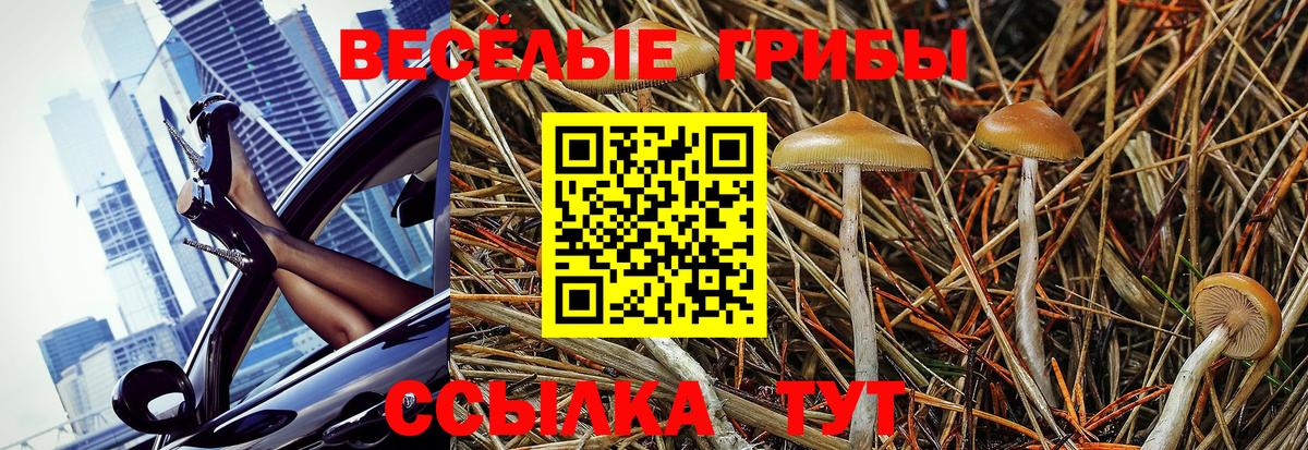 Галлюциногенные грибы Magic Shrooms Гусев