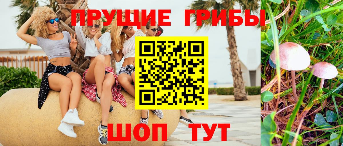 Гусев  Псилоцибиновые грибы Psilocybe  Вход с VPN  Галлюциногенные грибы Cubensis 